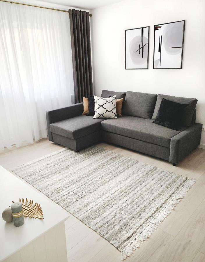 Mhc Quiet Deluxe Suite Near Downtown - Free Parking Braşov Exterior foto